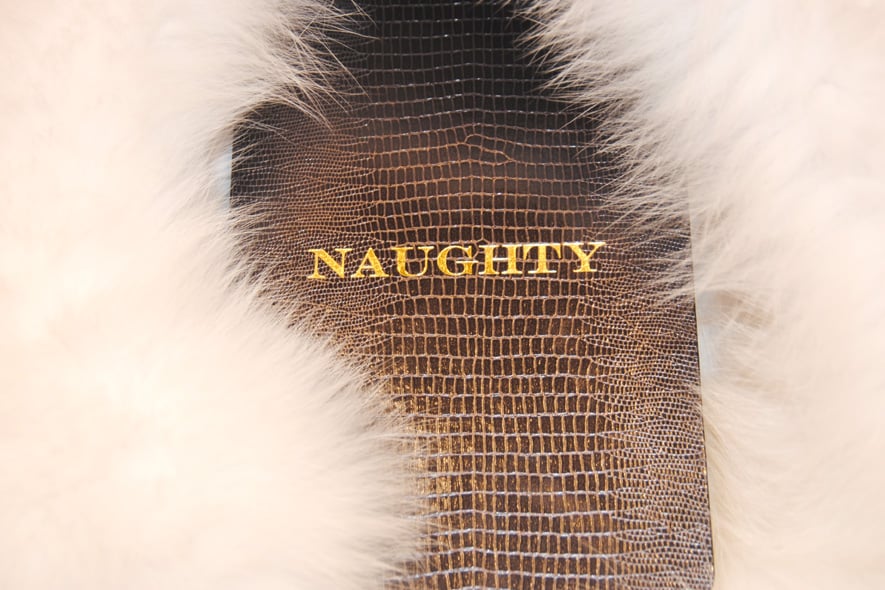 Naughty Nice notebook by D.L