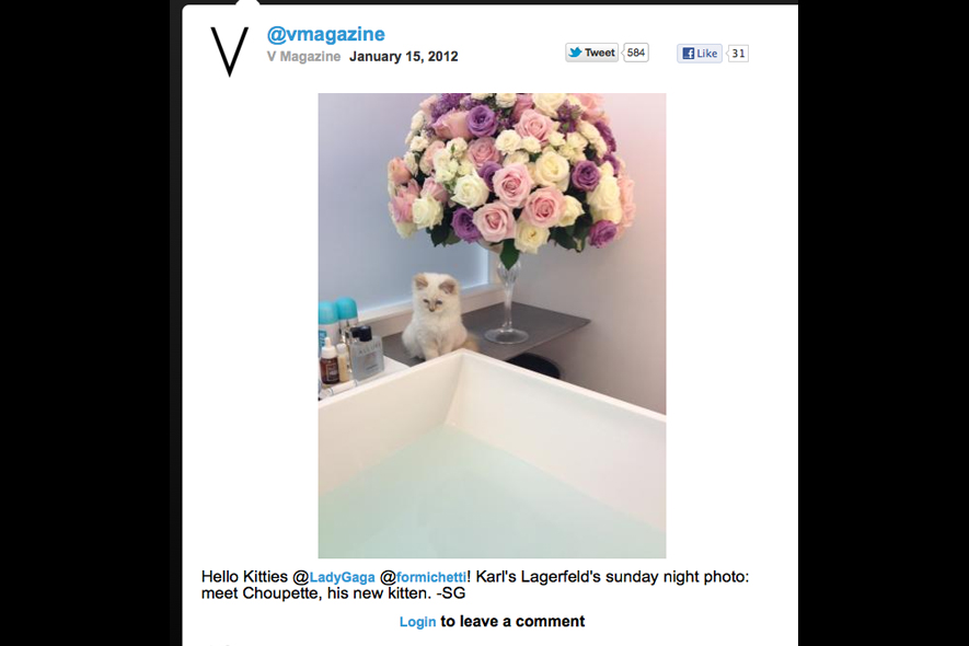 Karl Lagerfeld, Twitter e il gattino