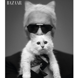 Choupette, la gatta di Karl Lagerfeld è una star