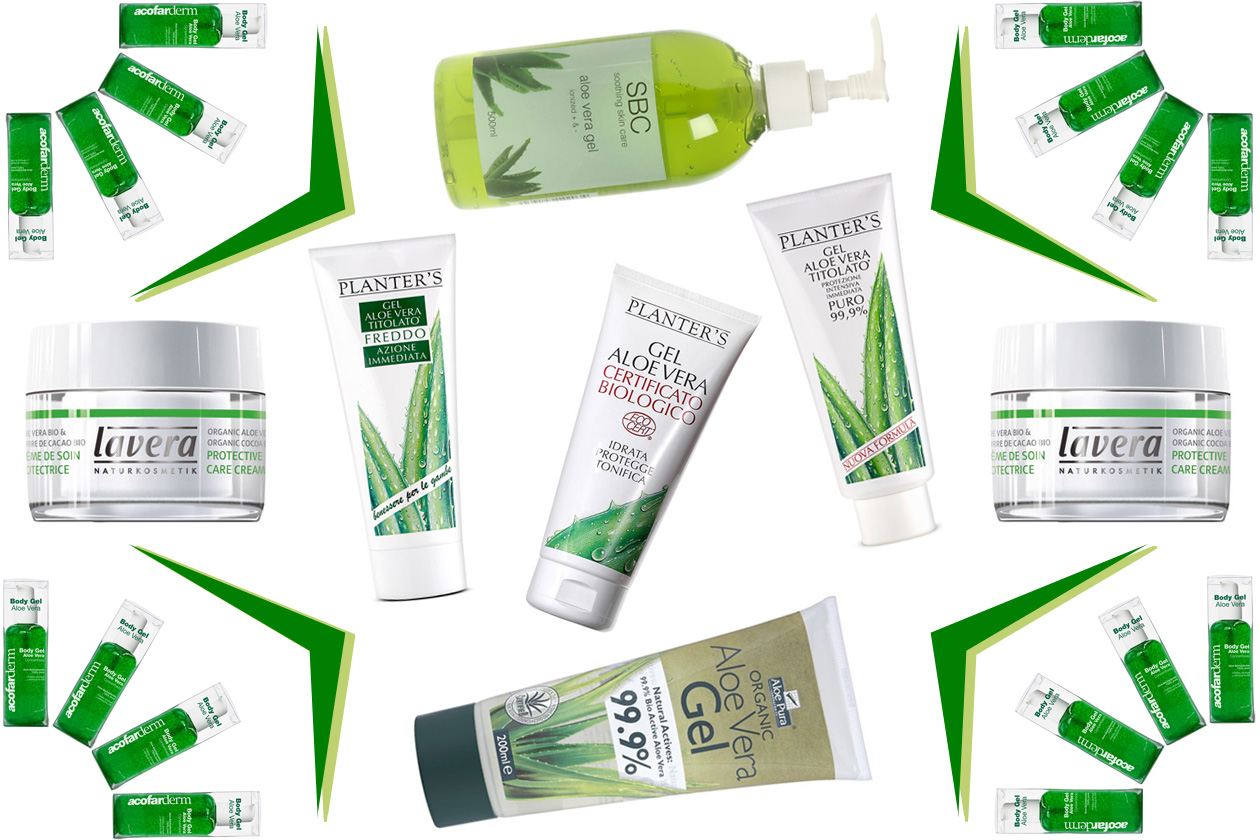 Viene definita “la pianta del miracolo”: curativa, riparatrice di ferite e ustioni, l’aloe vera è una pianta i cui benefici sono conosciuti da secoli