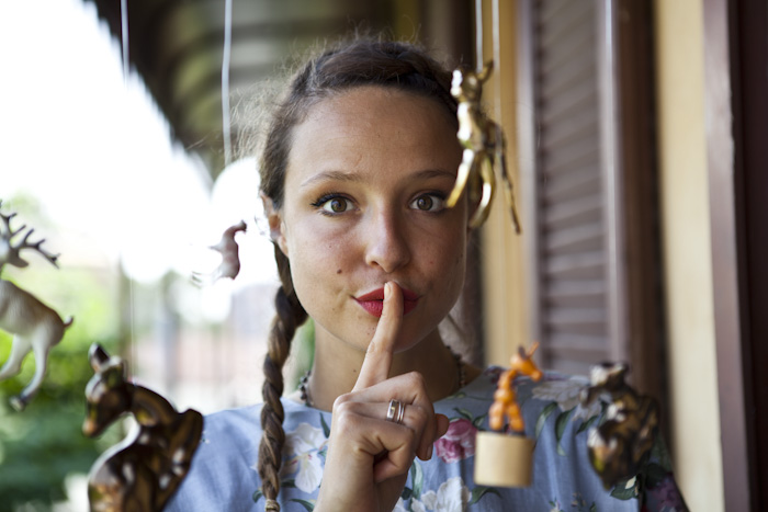 2011 collectors silvie 132