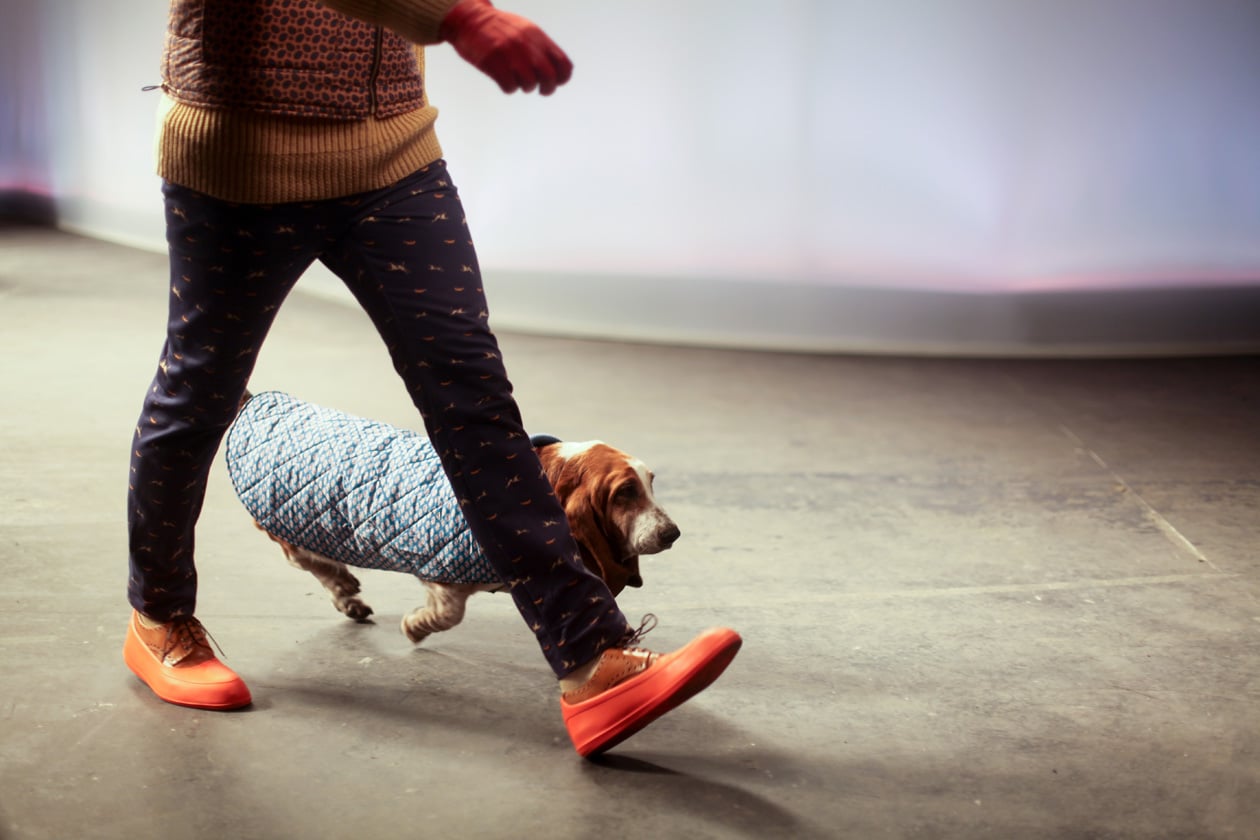 A spasso con Agi & Sam