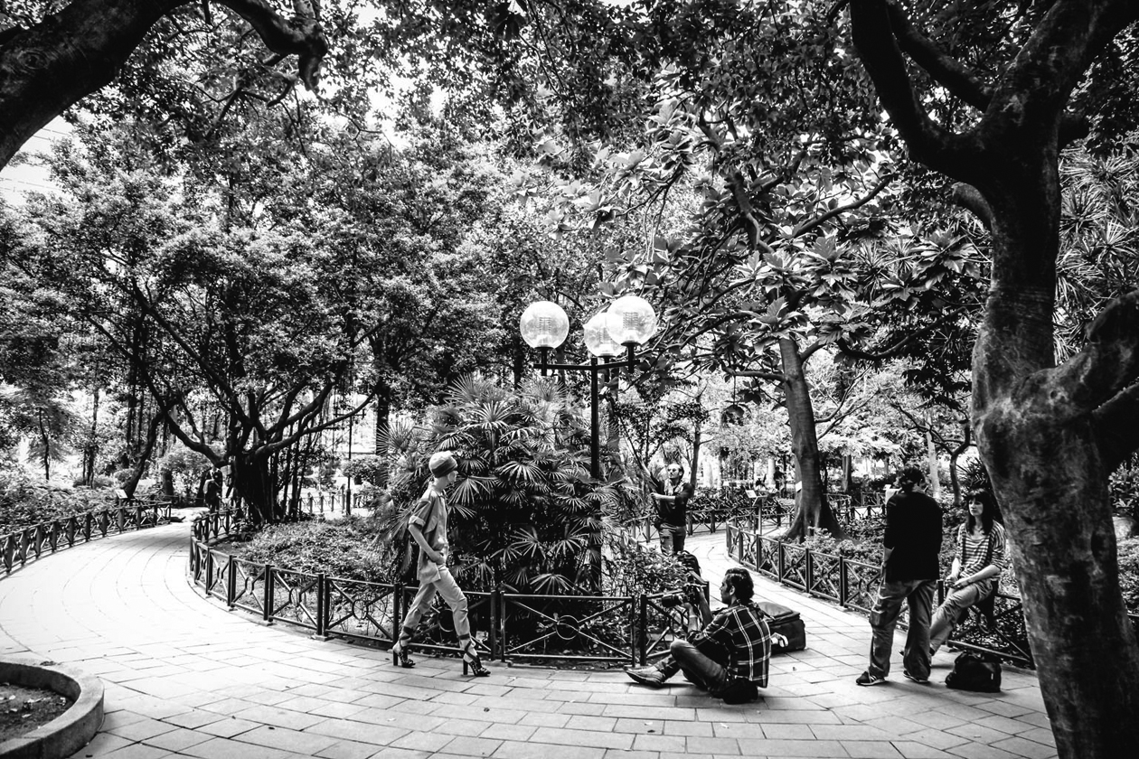 Max Salvaggio Grazia Safari Urban 5