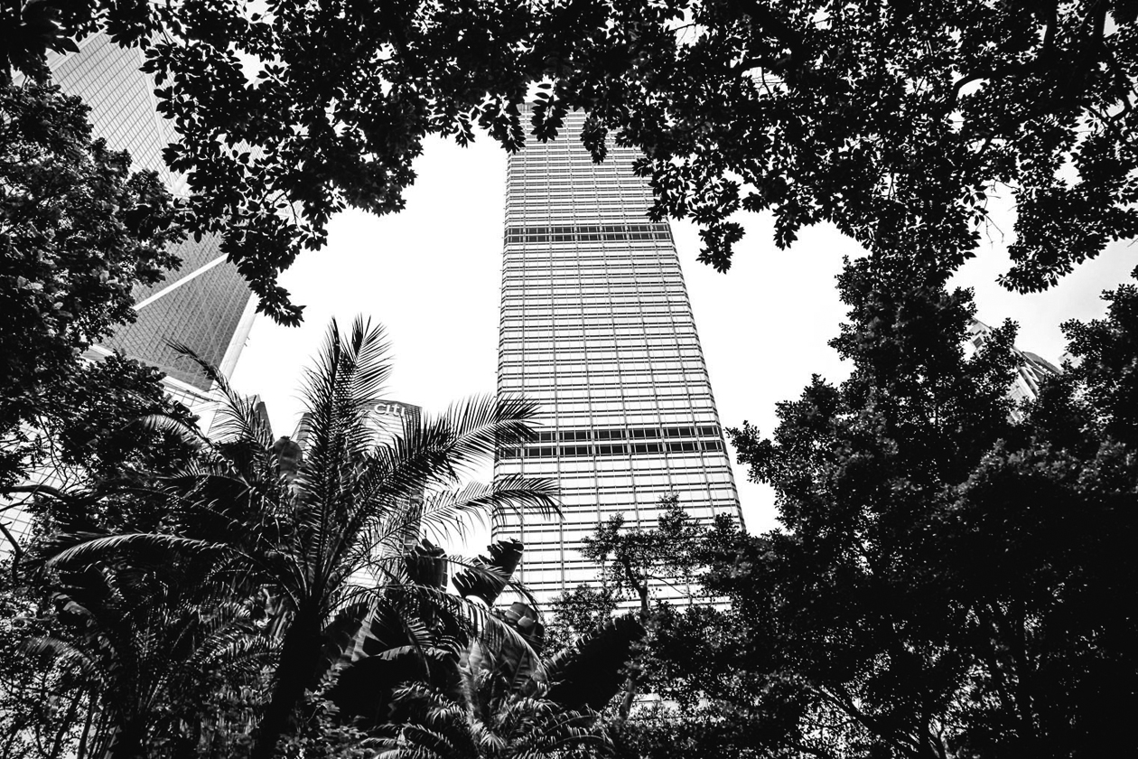 Max Salvaggio Grazia Safari Urban 6