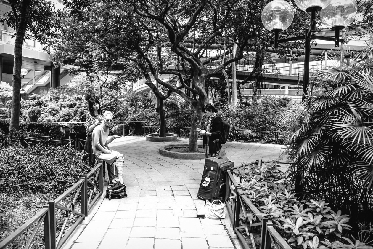 Max Salvaggio Grazia Safari Urban 8