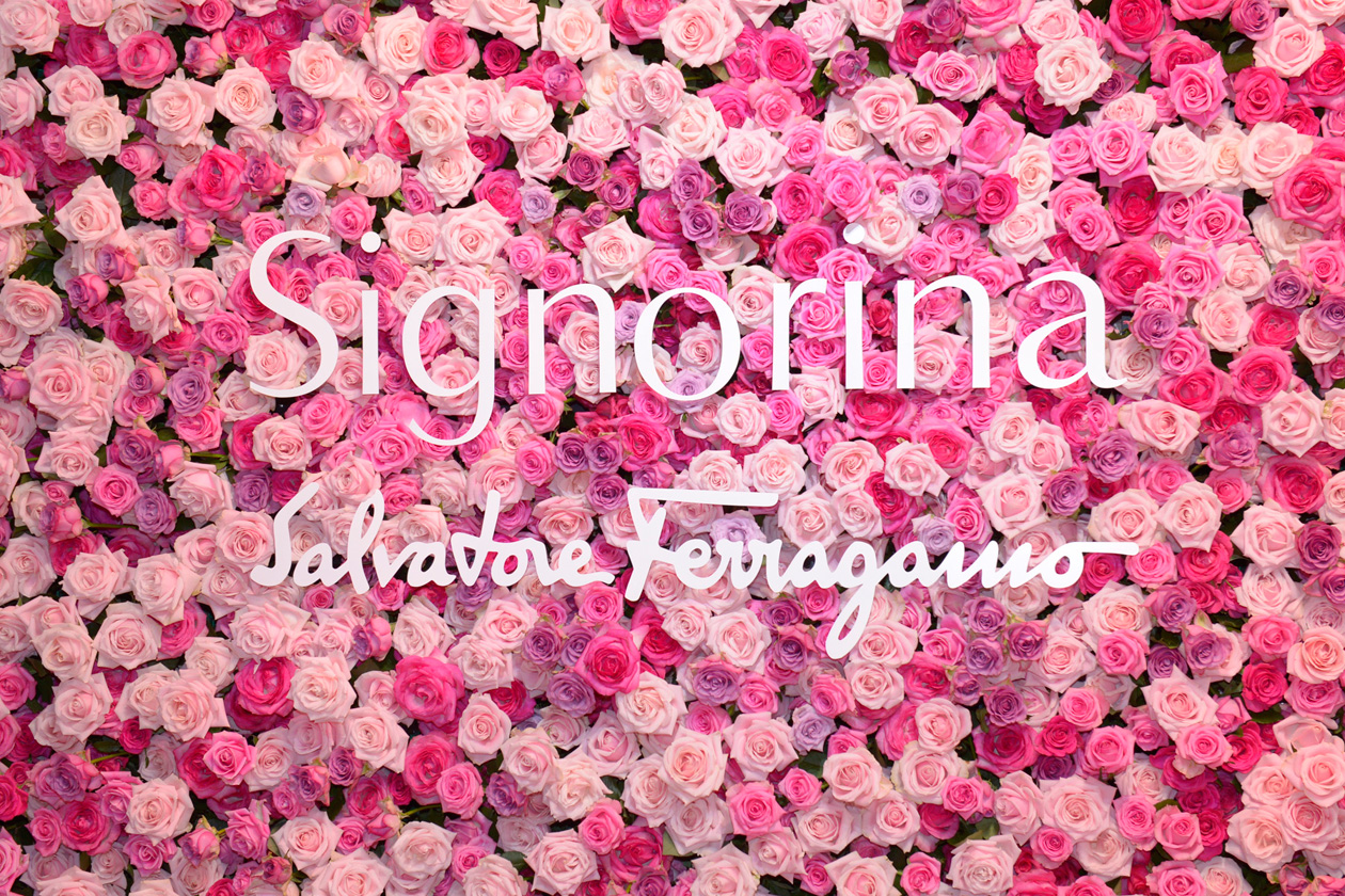 Signorina Flower wall