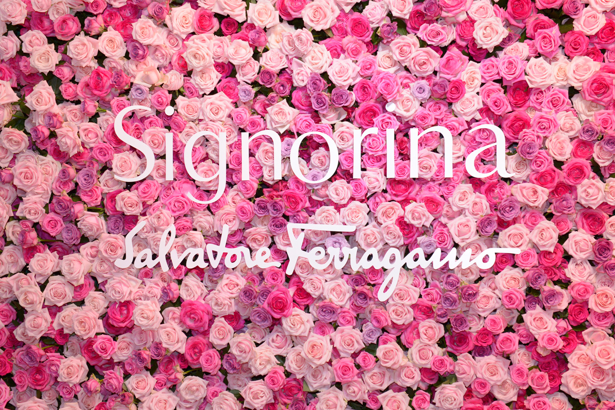 Signorina Flower wall