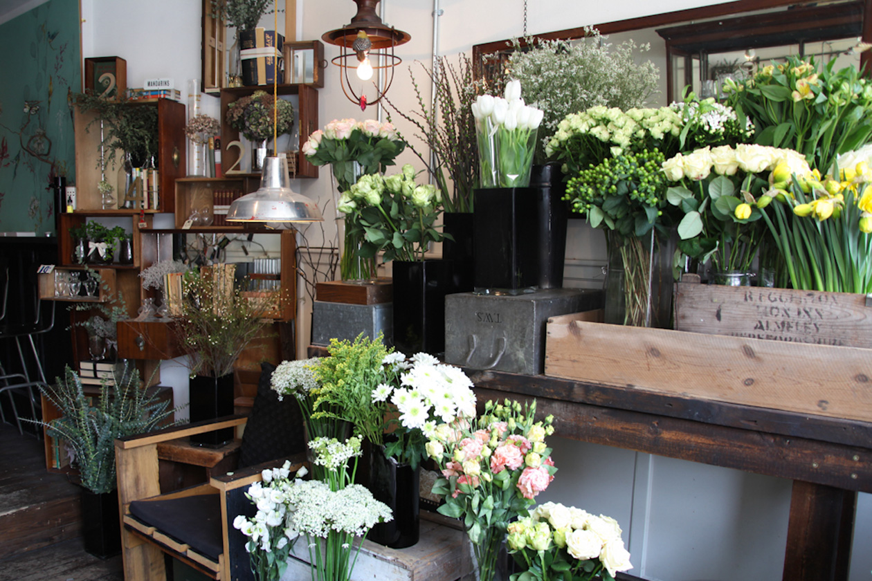 The Willow (1 di 10)