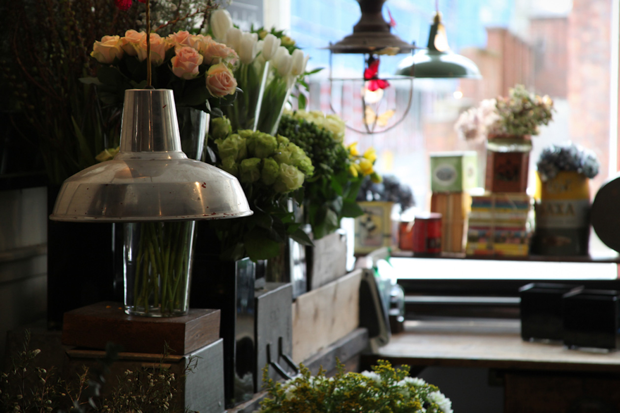 The Willow (5 di 10)