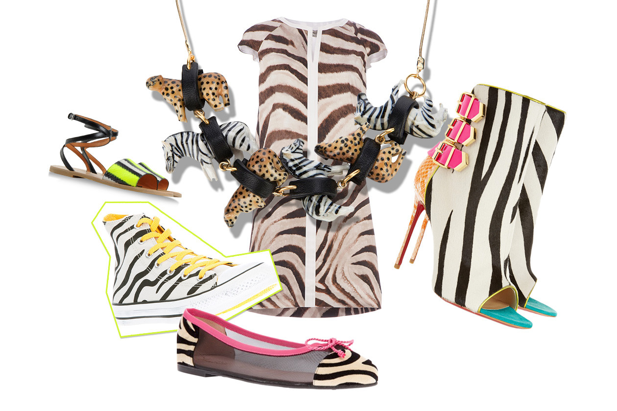 Cover collage zebra animalier