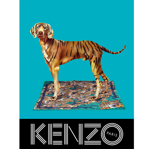 KENZO FW13 Campaign scarf