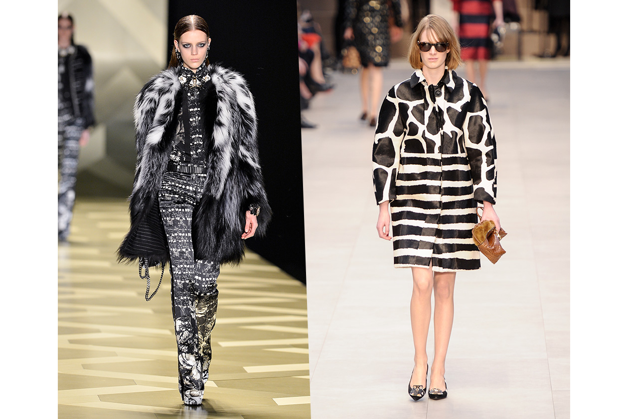 Fashion Bianco e Nero Burberry Cavalli