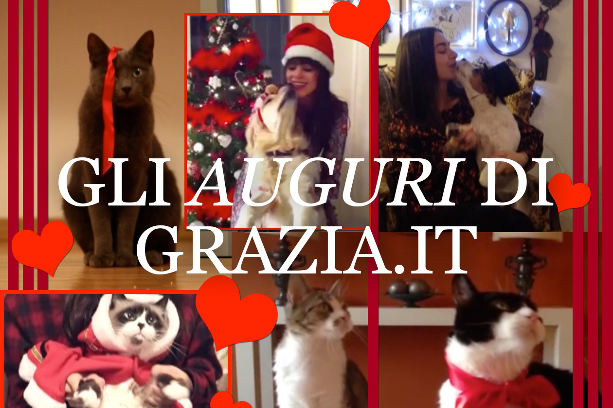 Buon Natale da Grazia.it!