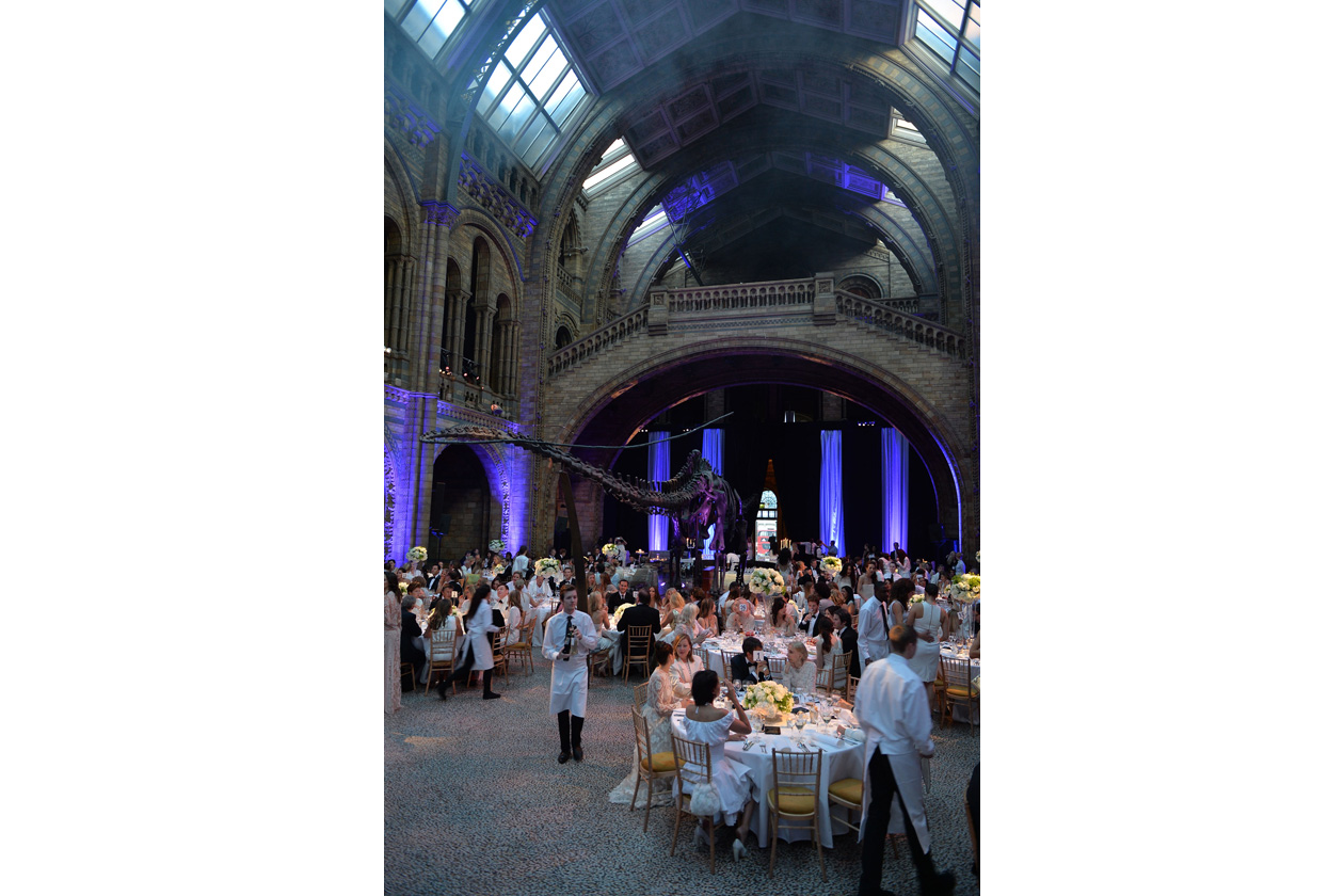 gala dinner the natural history museum london