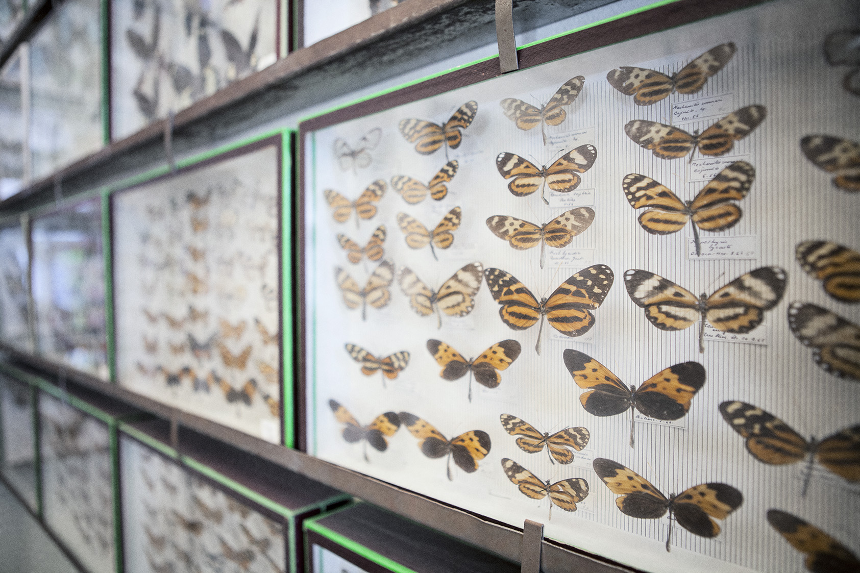 grazia giovanni laudicina 172