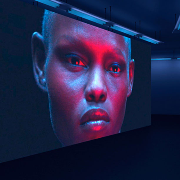 Grace To The Nth Power: la galleria 3-D di Kenzo