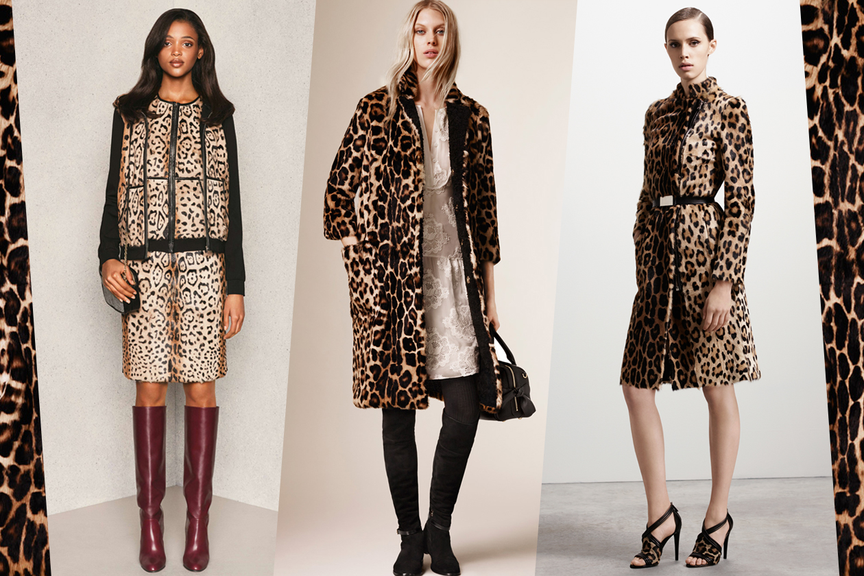 Bold Animalier