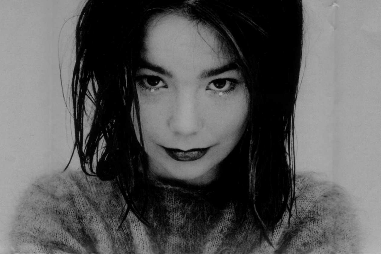 Björk Debut 1993
