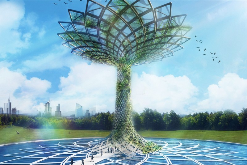 albero
