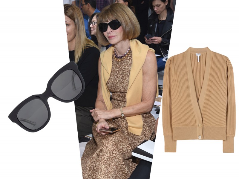 02_halloween_anna_wintour