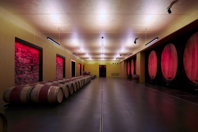 Kellerei Meran Burggräfler image credits Renè Riller