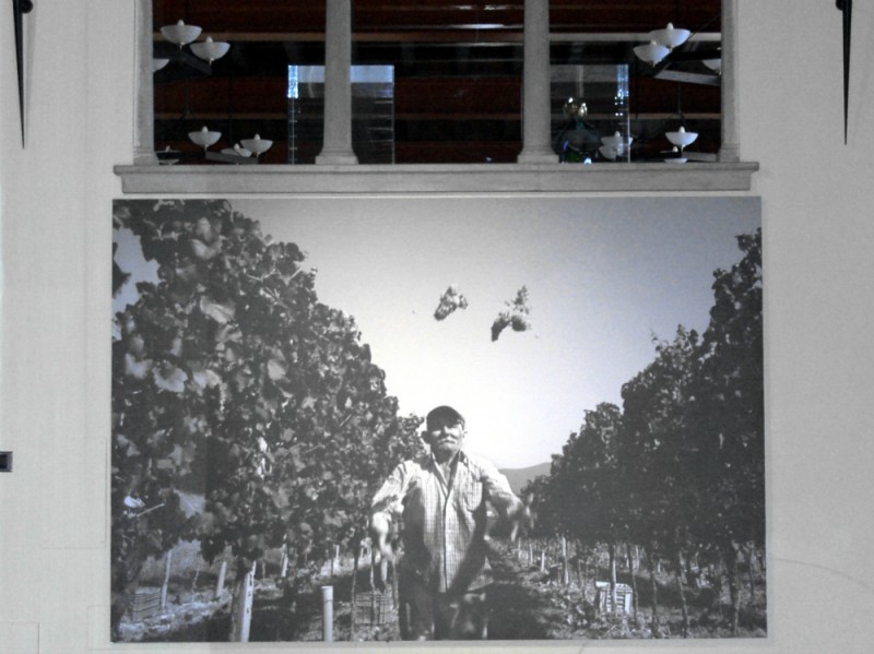 Opera di Pietro Masturzo in galleria entrata Berlucchi