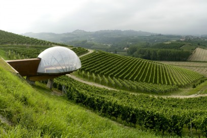 acino d’uva design cantina Ceretto