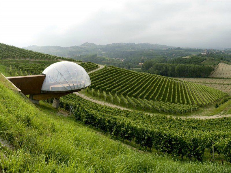 acino d’uva design cantina Ceretto