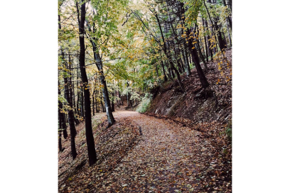 @aivenn – ???? The La’s – There she goes