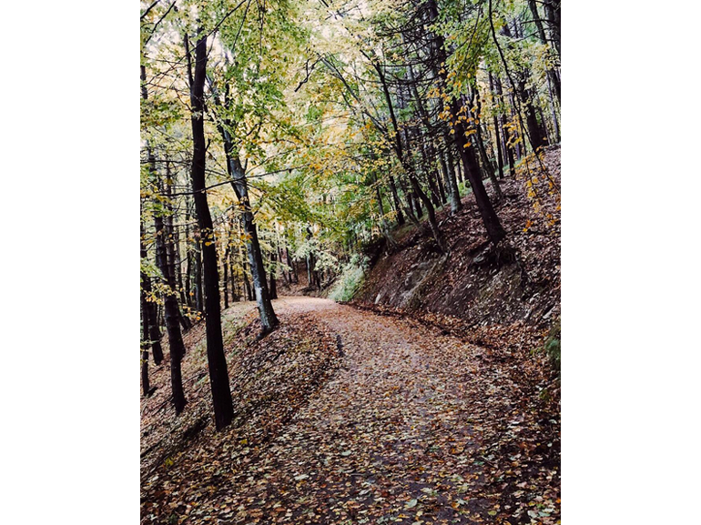 @aivenn – ???? The La’s – There she goes