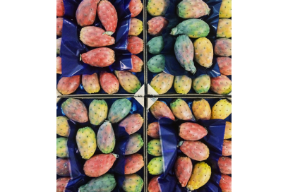 @antoniosparta – fichi d’india