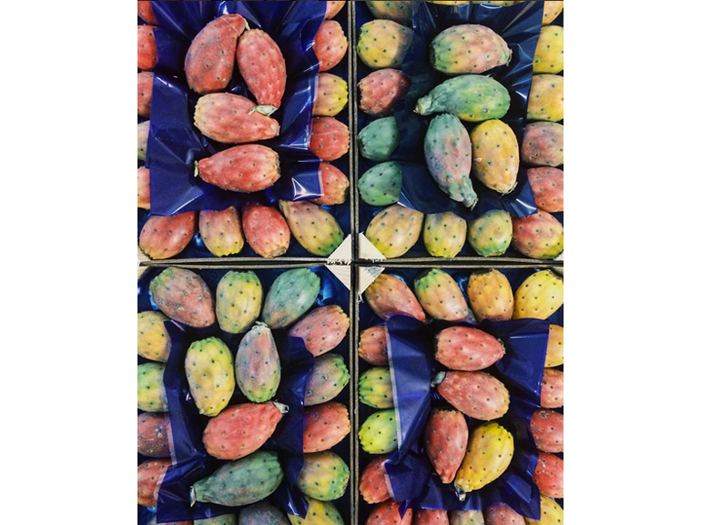 @antoniosparta – fichi d’india