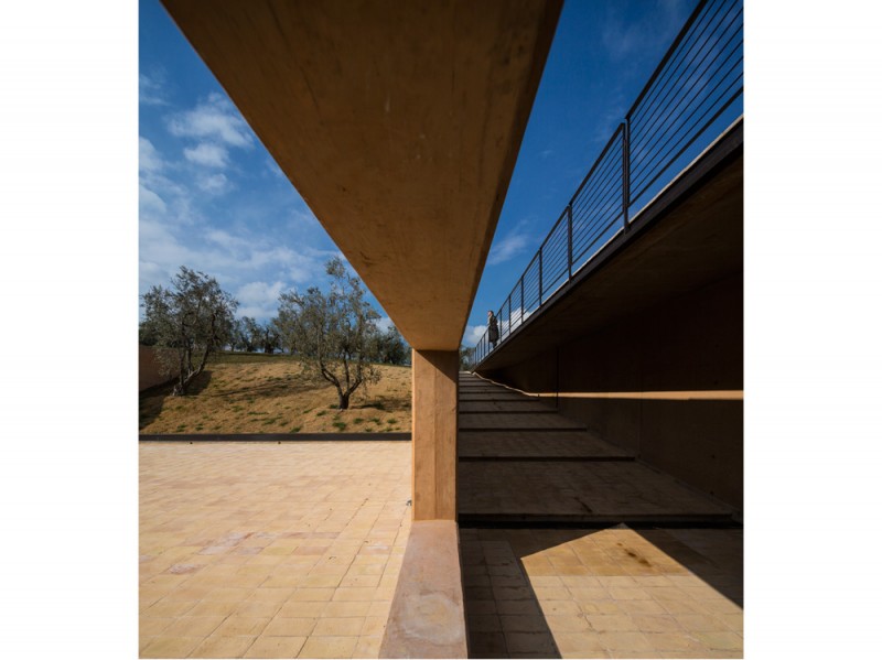 dettaglio verticale Cantina Bulgari