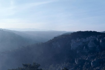 Presente-nella-regione-sud-occidentale-della-Francia-il-Tartufo-Black-Diamond-si-sviluppa-attraverso-una-relazione-simbiotica-con-le-radici-di-querce-e-noccioli