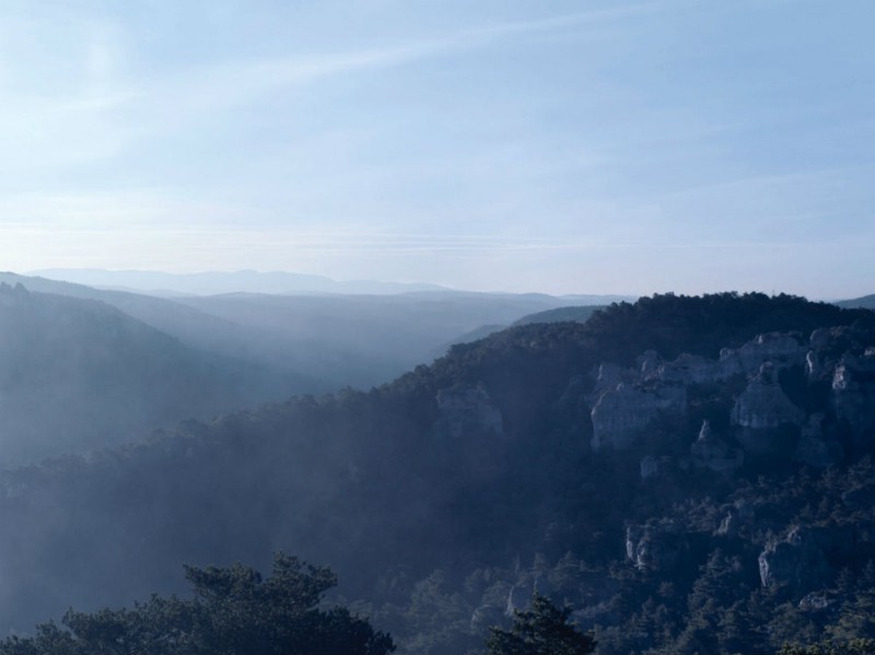 Presente-nella-regione-sud-occidentale-della-Francia-il-Tartufo-Black-Diamond-si-sviluppa-attraverso-una-relazione-simbiotica-con-le-radici-di-querce-e-noccioli