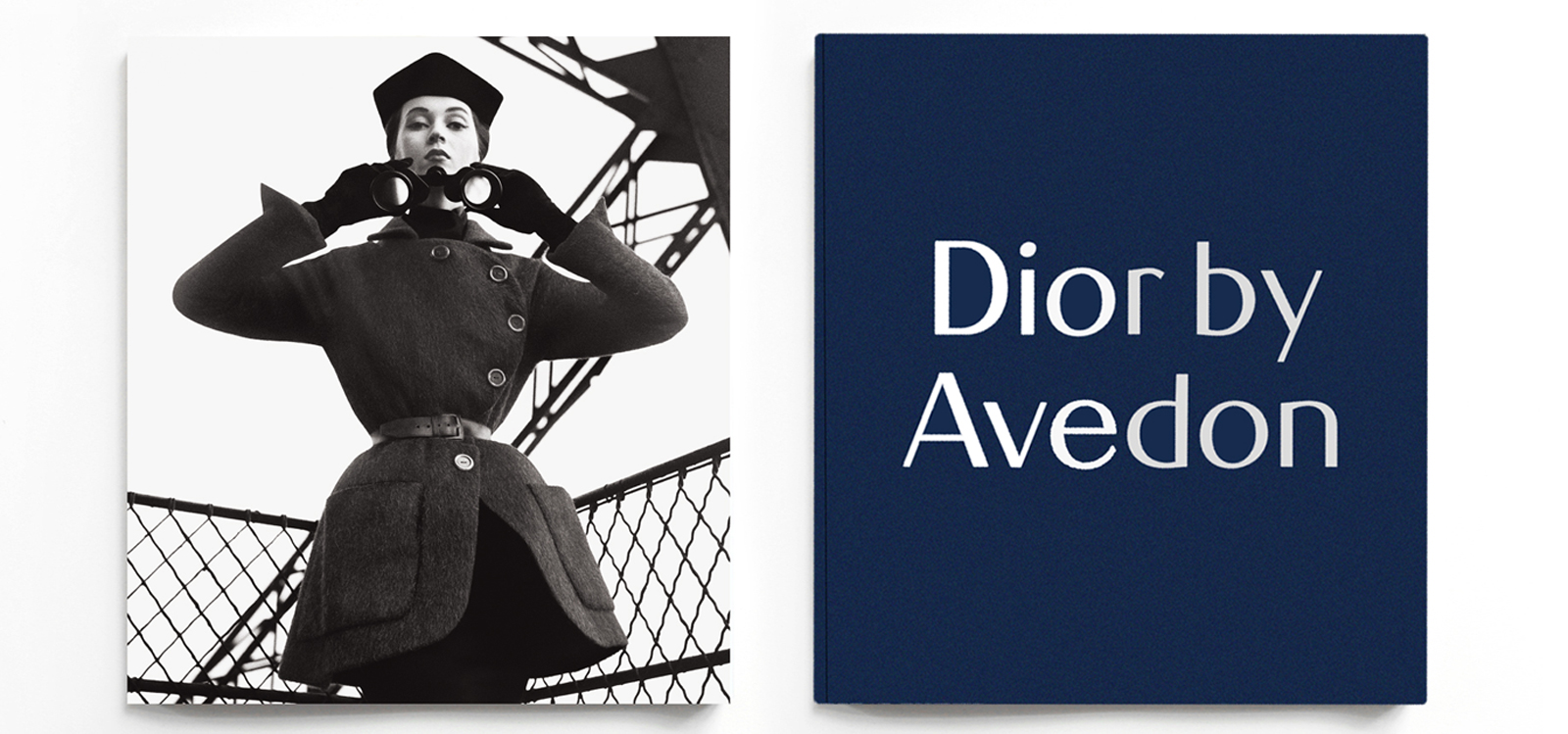 cover-dior-avedon-desktop