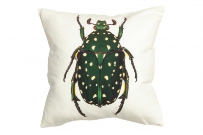 Un grande scarabeo verde sul cuscino