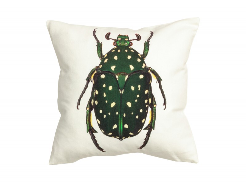 Un grande scarabeo verde sul cuscino