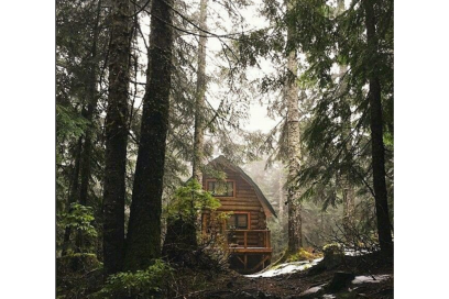 @my_dream_cabin – in the woods