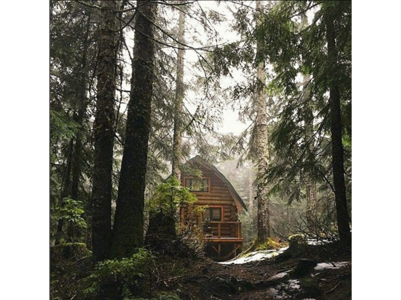 @my_dream_cabin – in the woods