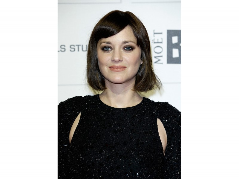 cotillard dic 2015