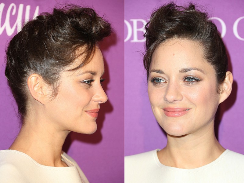 cotillard feb 2015