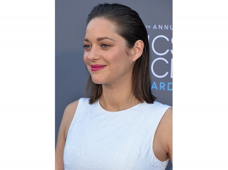 cotillard gen 2015