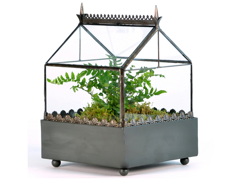H Potter Terrarium