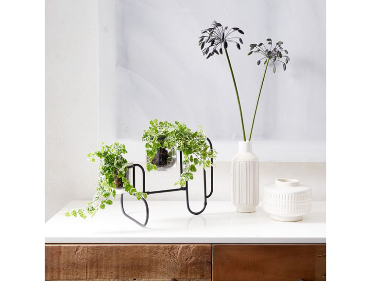 Terrariums West Elm