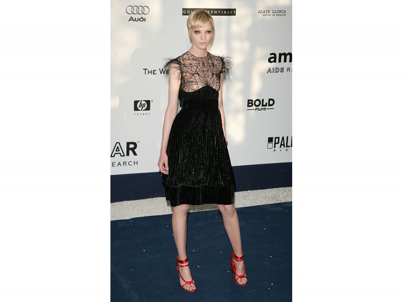 mariacarla-boscono-amfAr-Cannes-2006