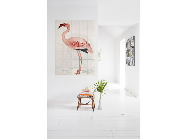 Flamingo fever