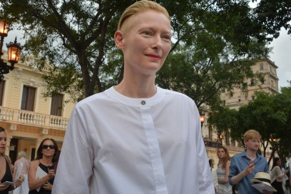 tilda