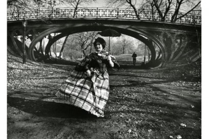 CentralParkBridge dal libro Facade di BillCunningham