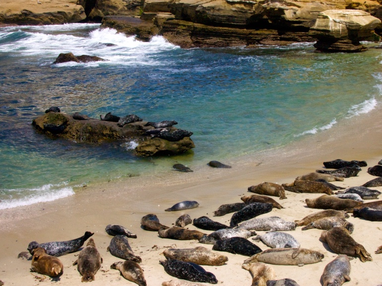 GettyImages-la jolla cove